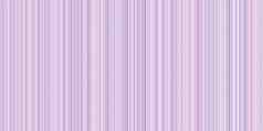 光紫罗兰色的苗条的微妙的行背景轻微的乘头发