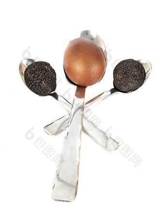 块茎黑孢子虫鸡蛋
