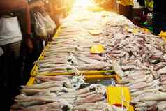 新鲜的市场卖方鱿鱼海鲜新鲜的生食物