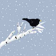 黑色的鸟分支冬天