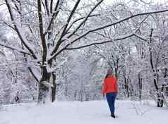 年轻的美丽的女孩走白雪覆盖的童话语言森林多枝的常年橡木