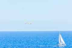 海鸥飞行蓝色的天空背景航行船