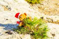 豪华的泰迪熊岩石象征圣诞节假期