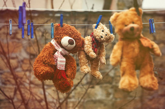 可爱的棕色（的）湿泰迪熊挂晾衣绳