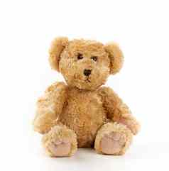 可爱的光棕色（的）毛茸茸的泰迪熊坐着白色孤立的