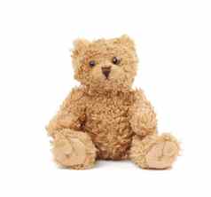 可爱的棕色（的）泰迪熊玩具坐着白色背气