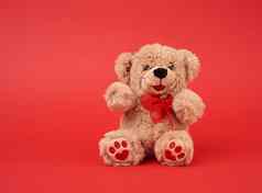 可爱的棕色（的）泰迪熊玩具坐着红色的背景