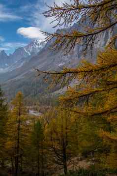 秋天景观意大利阿尔卑斯山脉