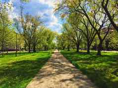 阳光明媚的小巷城市公园春天自然户外景观