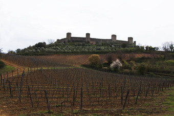 monteriggioni