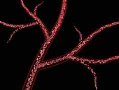 插图红色的血细胞静脉黑色的背景