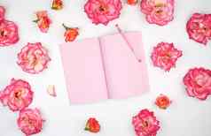 开放笔记本粉红色的空白页面白色背景
