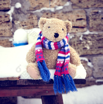 泰迪熊围巾坐在白色雪