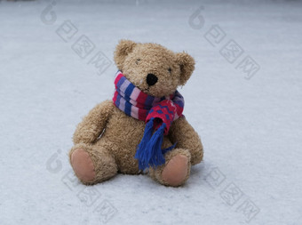 泰迪熊围巾坐在白色雪冬天一天