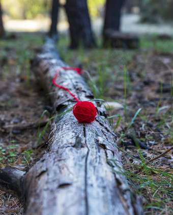 红色的羊毛球谎言树树干