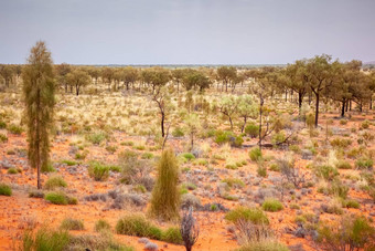 景观风景澳大利亚内地