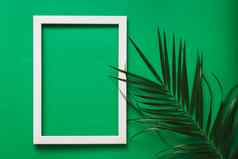 分支机构绿色棕榈叶子绿色背景白色照片框架生态夏天框架概念