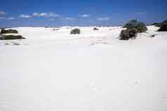 白色沙丘沙子风景西方澳大利亚