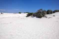 白色沙丘沙子风景西方澳大利亚