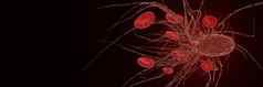 鞭毛鞭毛细菌攻击红色的血