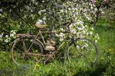 自行车一对徒步旅行靴子花园