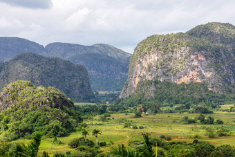 绿色加勒比谷mogotes山景观聚乙烯醇纤维
