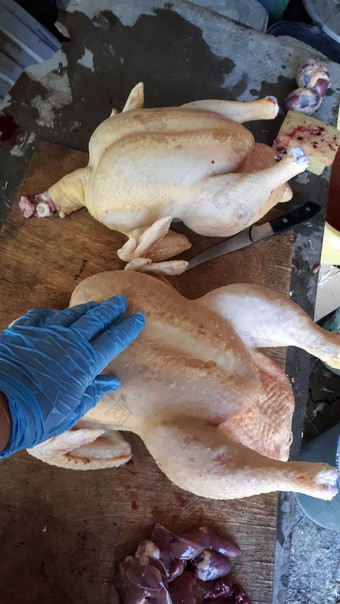 切割烤焙用具尸体切割董事会自制的鸡