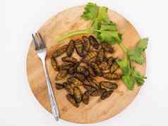 炸昆虫蛋白质丰富的食物