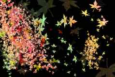 秋天颜色摘要模糊色彩斑斓的光室内枫木晚上
