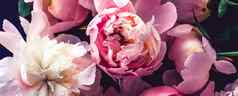 粉红色的牡丹花花艺术背景植物平铺奢侈品品牌