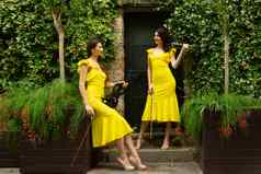 美丽的双胞胎姐妹小提琴家黄色的音乐会礼服