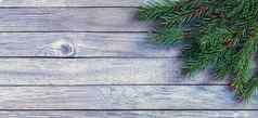绿色圣诞节树分支机构灰色的木背景装饰