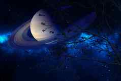 土星地球晚上天空回来轮廓干树