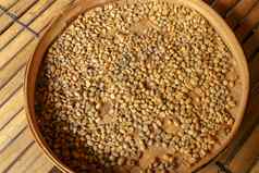 柳条袍使竹子条填满新鲜的咖啡猫鼬豆子关闭自然过程麝猫咖啡豆子干燥咖啡工厂巴厘岛干咖啡豆子准备好了烤过程