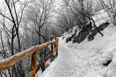 冬天路径覆盖雪特湖克罗地亚