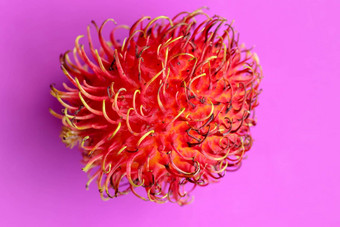 关闭单红毛丹水果紫色的背景前视图单健康的水果准备好了吃甜蜜的巴厘岛水果水果圆形的椭圆形single-seeded浆果覆盖肉质柔软旋转图片