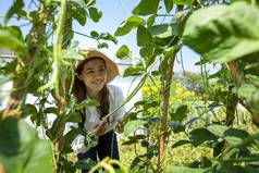 亚洲女农民有机蔬菜守卫
