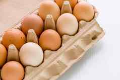 新鲜的鸡蛋鸡蛋新鲜的鸡蛋白色背景