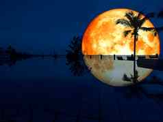 超级完整的血月亮反射椰子游泳池