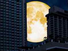 超级完整的月亮回来塔晚上城市