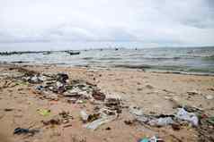 纸盒子泡沫塑料浪费污染海滩