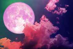 超级完整的粉红色的月亮回来轮廓色彩斑斓的品红色的天空