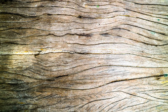 古老的硬木表面裂纹温度