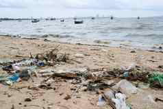 纸盒子泡沫塑料浪费污染海滩