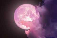 超级完整的粉红色的月亮回来轮廓晚上天空