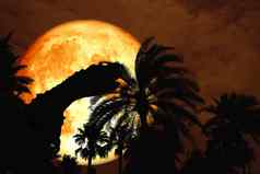 完整的血月亮回来轮廓恐龙公园橙色天空