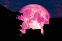 粉红色的月亮回来轮廓建筑树红色的天空