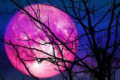 粉红色的月亮浮点数天空影子手干