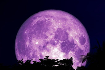 超级<strong>紫</strong>色的<strong>月亮</strong>回来轮廓树植物云黑暗