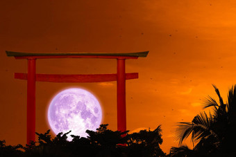 超级紫色的月亮回来轮廓鸟居云<strong>晚上</strong>天空